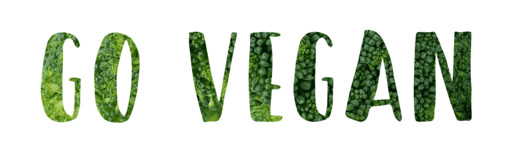 Dieta Vegana para Perder Grasa sin Perder Músculo